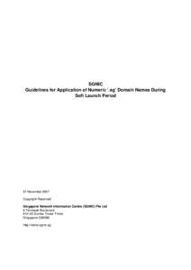SGNIC Guidelines for Application of Numeric ‘.sg’ Domain Names During Soft Launch Period 07 November 2007 Copyright Reserved