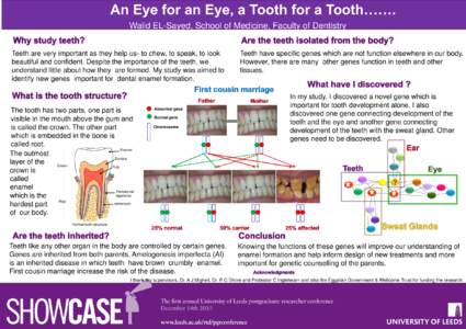 An Eye for an Eye, a Tooth for a Tooth……. Walid EL-Sayed, School of Medicine, Faculty of Dentistry Teeth are very important as they help us- to chew, to speak, to look beautiful and confident. Despite the importance 