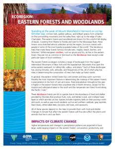 Ecoregion:  Eastern Forests and Woodlands Standing at the peak of Mount Mansfield in Vermont on a crisp October day, crimson reds, golden yellows, and brilliant greens form a blanket on the surrounding mountains and the 