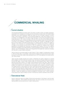 [removed]EUROGROUP FOR ANIMALS  COMMERCIAL WHALING Current situation The International Whaling Commission (IWC), 84 member countries in 2009, is the global organisation responsible for the management of whaling and the co