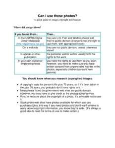 Copyright law of the United States / Photographer / Copyright law / Copyright / Public domain / Image copyright / Film still / Fair use / Law / Data / Information