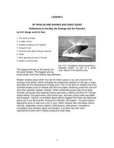 LESSON 9  OF WHALES AND SHARKS AND GIANT SQUID Reflections on the Big, the Strange and the Powerful by W.H. Berger and E.N. Shor 1 The world of whales