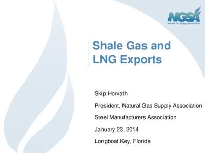 Shale Gas and LNG Exports Skip Horvath President, Natural Gas Supply Association Steel Manufacturers Association January 23, 2014