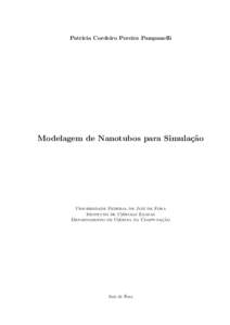 Patr´ıcia Cordeiro Pereira Pampanelli  Modelagem de Nanotubos para Simula¸ c˜ ao