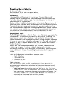 Treating Burnt Wildlife By Dr Anne Fowler BSc(Vet)(Hons), BVSc, MACVSc (Avian Health) Introduction In January 2006, wildfires began in three parts of Victoria and destroyed bushland over the following month. The challeng