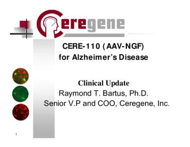 CERE-110 (AAV-NGF) for Alzheimer’s Disease Clinical Update Raymond T. Bartus, Ph.D. Senior V.P and COO, Ceregene, Inc.