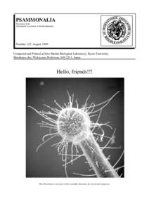 PSAMMONALIA Newsletter of the International Association of Meiobenthologists Number 125, August 1999 Composed and Printed at Seto Marine Biological Laboratory, Kyoto University