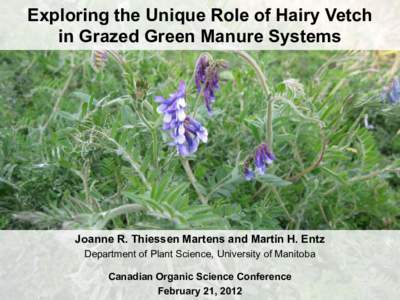 Exploring the Unique Role of Hairy Vetch in Grazed Green Manure Systems