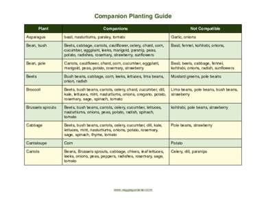Companion Planting Guide Plant Companions  Not Compatible