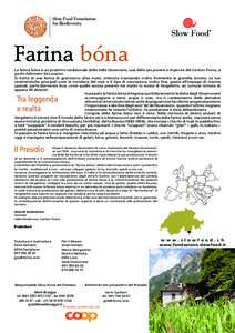 Farina bóna La farina bóna è un prodotto tradizionale della Valle Onsernone, una delle più povere e impervie del Canton Ticino, a pochi chilometri da Locarno. Si tratta di una farina di granoturco (Zea mais) , ottenu