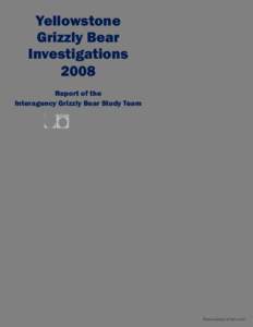 Yellowstone Grizzly Bear Investigations 2008 Report of the Interagency Grizzly Bear Study Team