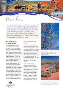 International Year of Deserts and Desertification Desert Flora