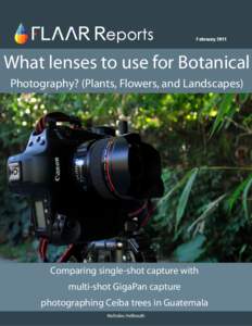 What lenses to use for Botanical EQUIPMENT EVALUATIONS Photography? (Plants, Flowers, and Landscapes) Digital Photography  Febraury 2011
