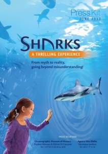DIVE INTO THE WORLD OF SHARKS: A THRILLING EXPERIENCE Exhibition Press release