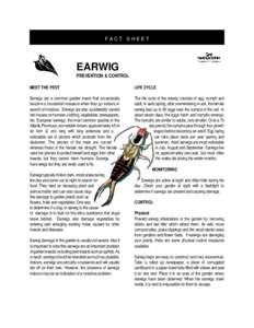 FACT SHEET  EARWIG PREVENTION & CONTROL MEET THE PEST