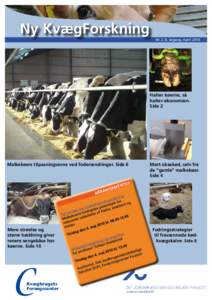 Ny KvægForskning Nr. 2, 8. årgang, April 2010 Halter køerne, så halter økonomien. Side 2
