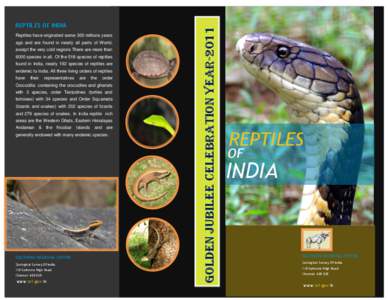 Reptiles have originated some 300 millions years ago and are found in nearly all parts of World, except the very cold regions There are more than 6000 species in all. Of the 518 species of reptiles found in India, nearly