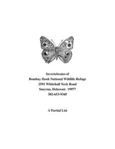 Lepidoptera / Orders of insects / Pollinators / Horse-fly / Moth / Belostomatidae / Beetle / Hemiptera / Antheraea polyphemus / Phyla / Protostome / Taxonomy