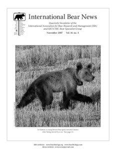 International Bear News  Quarterly Newsletter of the