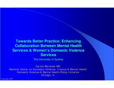 Domestic Violence and Mental Health: Looking Beyond Traditional Models