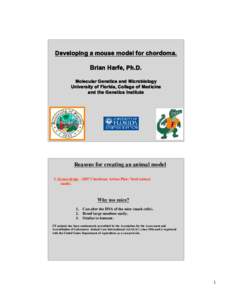 Developing a mouse model for chordoma. Brian Harfe, Ph.D. Molecular Genetics and Microbiology University of Florida, College of Medicine and the Genetics Institute