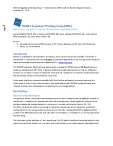 Page  1 NICOLE Regulatory Working Group – reaction to the AMEC study on Baseline Report Guidance February 1st, 2013