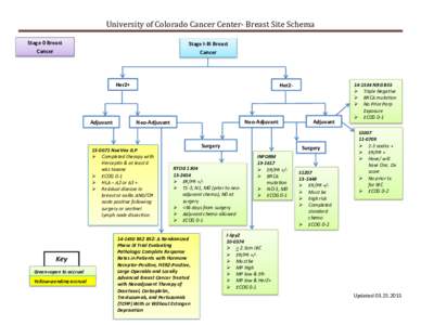 Ribbon symbolism / Breast cancer / Adjuvant therapy / Eastern Cooperative Oncology Group / HER2/neu / Trastuzumab / Pertuzumab / Radiation Therapy Oncology Group / Neoadjuvant therapy / Medicine / Cancer organizations / Cancer treatments