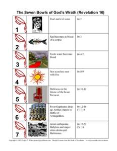 The Seven Bowls of God’s Wrath (Revelation 16) Foul and evil sores 16:2  Sea becomes as blood