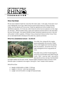 Rhino Fact Sheet Rhinos have existed on Earth for more than 50 million years. In the past, rhinos were much more widespread, occurring in North America and Europe as well as in Africa and Asia. Today, only five species o