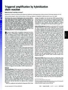 Triggered amplification by hybridization chain reaction Robert M. Dirks† and Niles A. Pierce‡§ Departments of †Chemistry and ‡Applied and Computational Mathematics and Bioengineering, California Institute of Tec