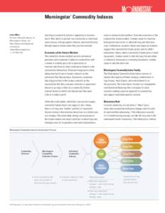 Morningstar Commodity Indexes ® Learn More For more information about all of Morningstar’s indexes, visit