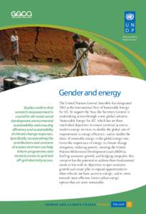 Empowered lives. Resilient nations. Gender and energy Studies confirm that women’s empowerment is