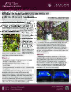 Effects of road construction noise on golden-cheeked warblers irnr.tamu.edu/ramses Activities associated with highways and roads can negatively impact species’ demography and behaviors due to direct and indirect altera