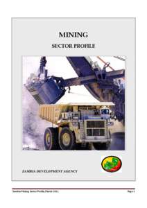 Microsoft Word - Zambia Mining Sector Profile - Feb 2011