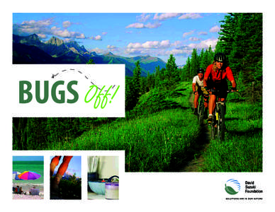 BUGS Off!  BUGS Off!  Before you crack open the anti-insect sprays,