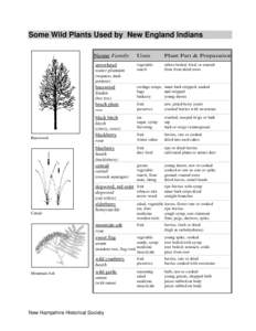 Plantain / Fruit / Native American cuisine / Raw foodism / Food and drink / Staple foods / Starch