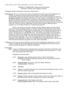 Cladistics / Notochord / Homology / Vertebrate / Evolution / Fish / Phylogenetics / Biology / Cladogram