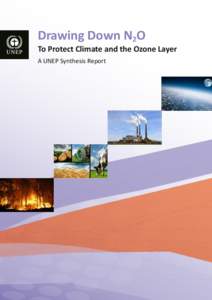 Drawing Down N2O To Protect Climate and the Ozone Layer A UNEP Synthesis Report Published by the United Nations Environment Programme (UNEP), November 2013 Copyright © UNEP 2013