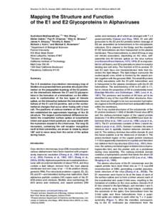 Semliki Forest virus / Sindbis virus / Flavivirus / Structure and genome of HIV / Amyloid precursor protein / Transmembrane domain / Coiled coil / Rubella virus / Togaviruses / Biology / Alphavirus