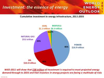 Investment: the essence of energy Cumulative investment in energy infrastructure, [removed]BIOFUELS COAL $1.1 trillion $0.3 trillion