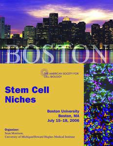 july15-18 stem cells(3-columns).indd