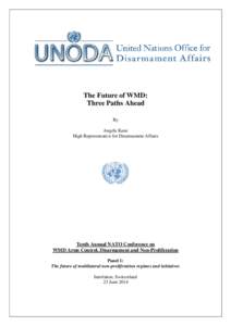 The Future of WMD: Three Paths Ahead By Angela Kane High Representative for Disarmament Affairs