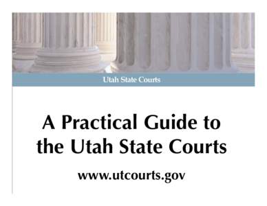 Michigan Court System / State governments of the United States / New York state courts / State court