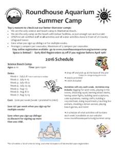 Summer camp / Falling Creek Camp / Camp Firwood