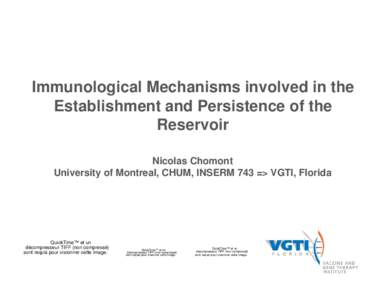 Immunological Mechanisms involved in the Establishment and Persistence of the Reservoir Nicolas Chomont University of Montreal, CHUM, INSERM 743 => VGTI, Florida