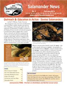 Salamander News No. 2 February 2014