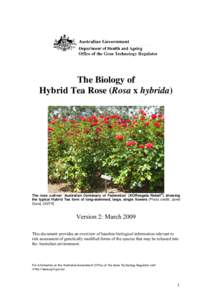 Biology / Agriculture / Garden roses / Floribunda / Joseph Pernet-Ducher / Rosa × damascena / Hybrid Tea / Rosa chinensis / Rosa gallica / Roses / Medicinal plants / Botany