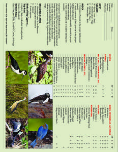 Blue-winged Warbler / Golden-winged Warbler / Shollenberger Park / Vermivora / Birds of Glacier National Park / Pine Warbler
