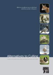 Recreation / Red fox / Red Squirrel / Bird feeder / Pest control / Fox / Animal trapping / Squirrel / European pine marten / Fauna of Europe / Tree squirrels / Zoology