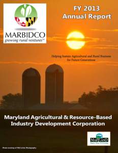 FY 2013 Annual Report Helping Sustain Agricultural and Rural Business for Future Generations